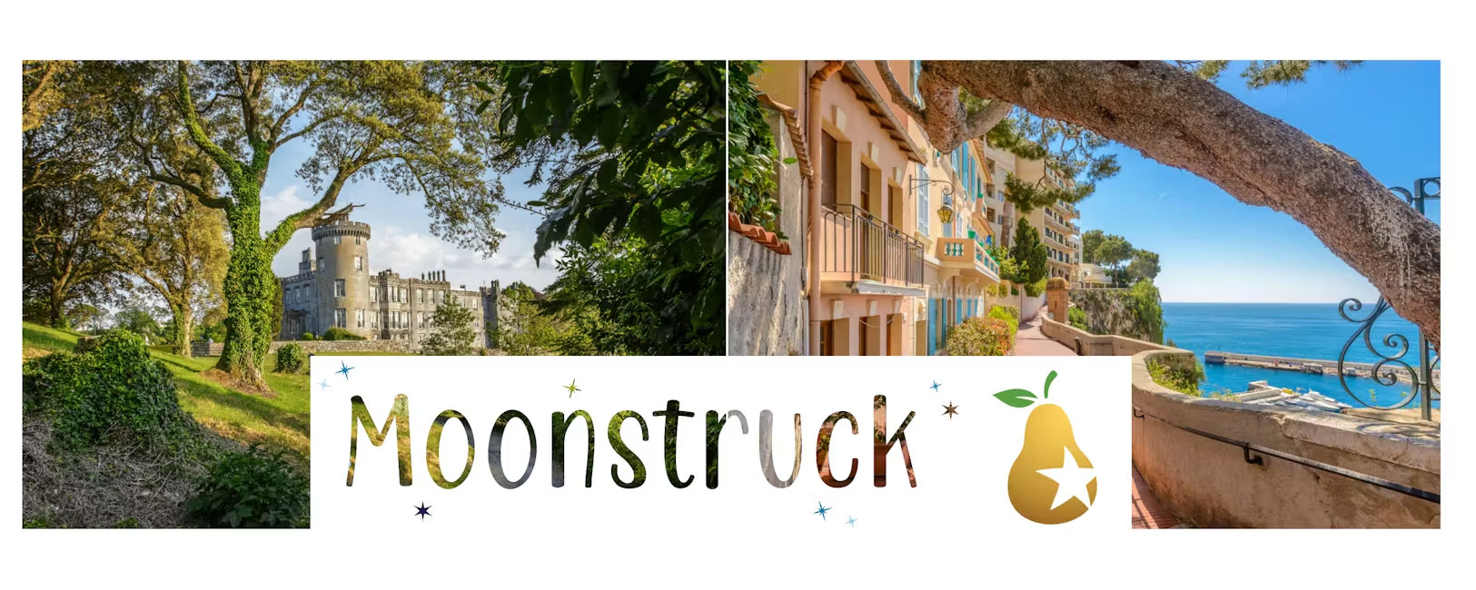 AuctionWebsiteBanner